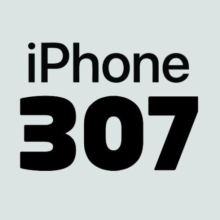 Numero 307