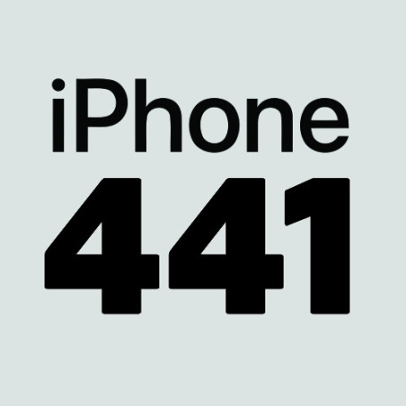 Numero 441